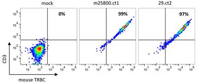 Identification of TRDV-TRAJ V domains in human and mouse T-cell receptor repertoires